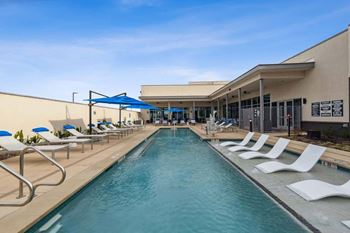 Modern lap-inspired pool with sun shelf
